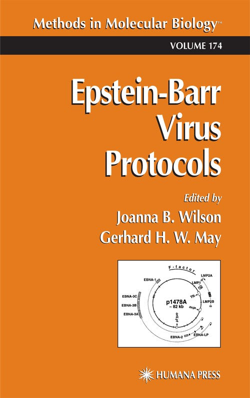 Epstein-Barr Virus Protocols by Joanna B Wilson ISBN 9781617371370