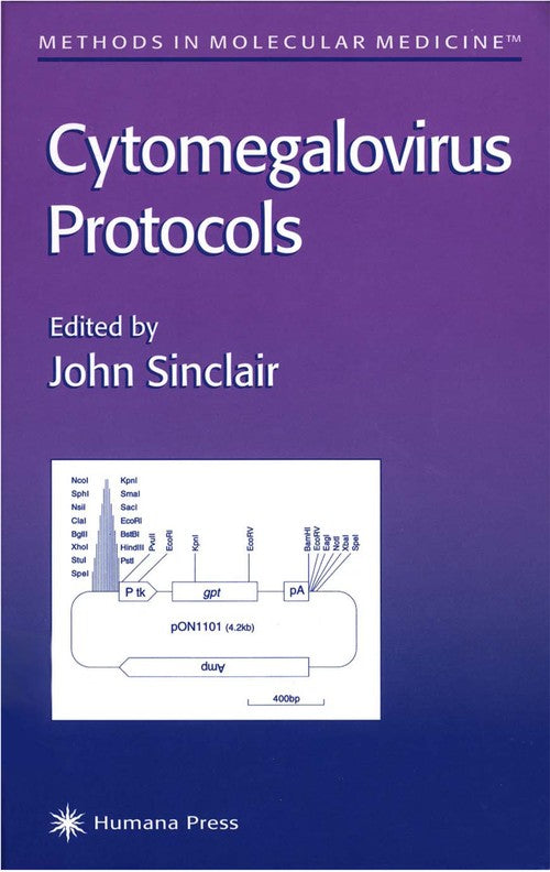 Cytomegalovirus Protocols by John Sinclair ISBN 9781617371677