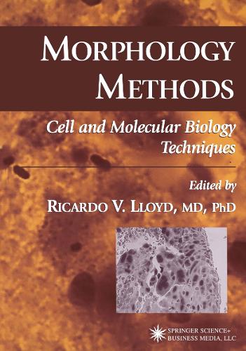Morphology Methods by Ricardo V Lloyd 9781617372735