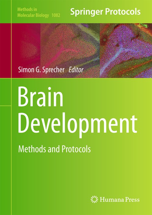 Brain Development by Simon G Sprecher 9781627036542