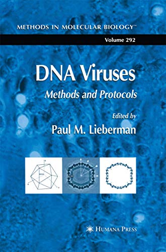 DNA Viruses by Paul M Lieberman 9781627038102