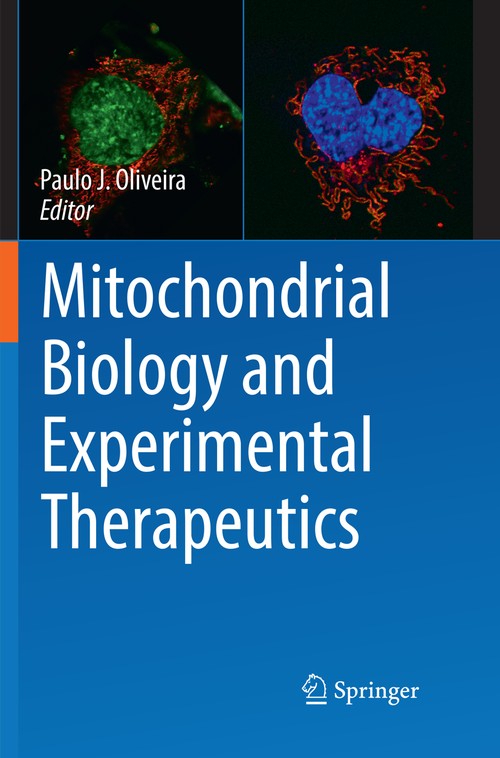 Mitochondrial Biology and Experimental Therapeutics by Paulo J Oliveira ISBN 9783030103583