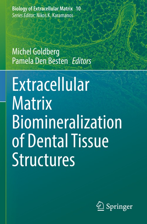 Extracellular Matrix Biomineralization of Dental Tissue Structures by Michel Goldberg ISBN 9783030762858