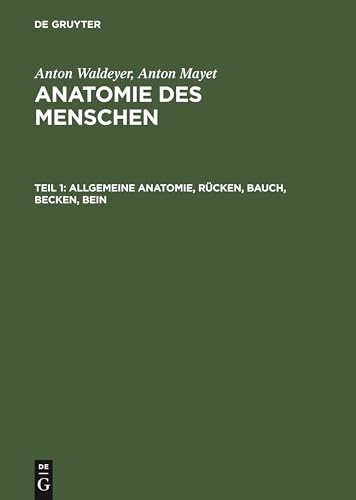 Allgemeine Anatomie, Rcken, Bauch, Becken, Bein by Anton Waldeyer ISBN 9783110059847