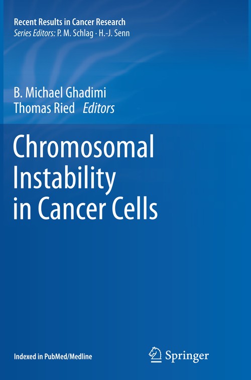 Chromosomal Instability in Cancer Cells by B Michael Ghadimi ISBN 9783319349626