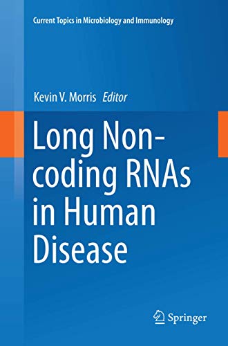 Long Non-coding RNAs in Human Disease by Kevin V Morris ISBN 9783319795515