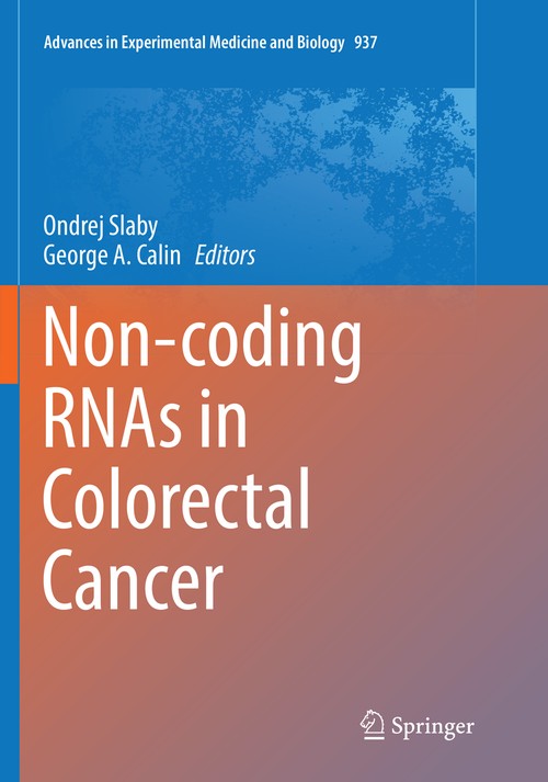 Non-coding RNAs in Colorectal Cancer by Ondrej Slaby ISBN 9783319824918