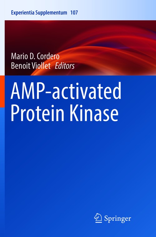 AMP-activated Protein Kinase by Mario D Cordero ISBN 9783319828640