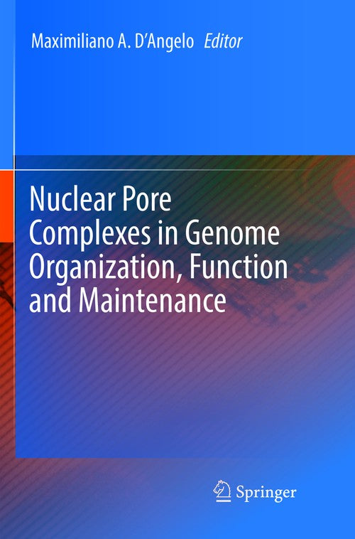 Nuclear Pore Complexes in Genome Organization, Function and Maintenance by Maximiliano Dangelo ISBN 9783319890883