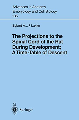 The Projections to the Spinal Cord of the Rat During Development: A Timetable of Descent by Egbert Lakke ISBN 9783540618782