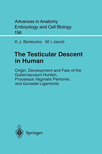 The Testicular Descent in Human by Kj Barteczko | ISBN-13 9783540673156