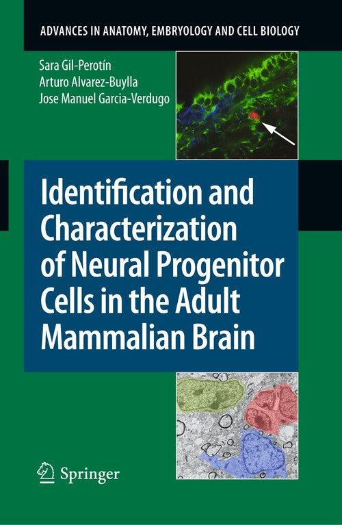 Identification and Characterization of Neural Progenitor Cells in the Adult Mammalian Brain by Jose Garciaverdugo ISBN 9783540887188