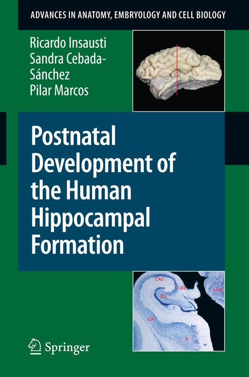 Postnatal Development of the Human Hippocampal Formation by Ricardo Insausti | ISBN-13 9783642036606