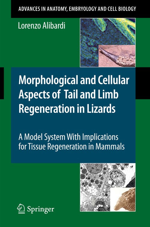 Morphological and Cellular Aspects of Tail and Limb Regeneration in Lizards by Lorenzo Alibardi ISBN 9783642037320