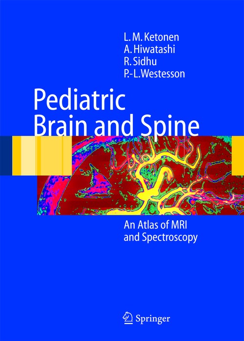 Pediatric Brain and Spine by Lm Ketonen | ISBN-13 9783642059698