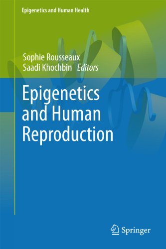 Epigenetics and Human Reproduction by Sophie Rousseaux | ISBN-13 9783642265822