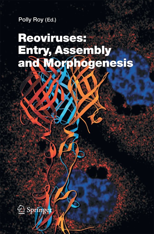 Reoviruses: Entry, Assembly and Morphogenesis by Polly Roy | ISBN-13 9783642421723