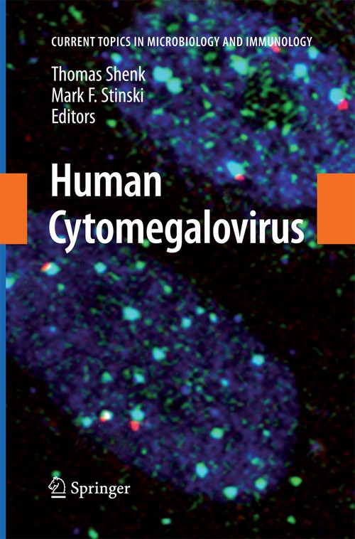 Human Cytomegalovirus by Thomas E Shenk | ISBN-13 9783642445132