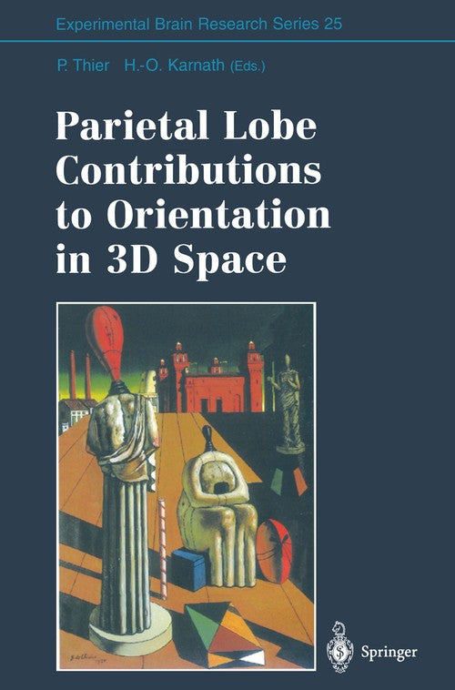 Parietal Lobe Contributions to Orientation in 3D Space by Peter Thier | ISBN-13 9783642644986