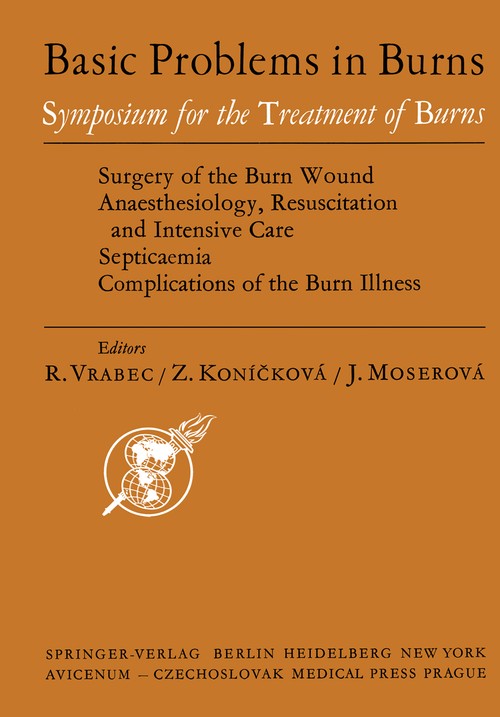 Basic Problems in Burns by R Vrabec | ISBN-13 9783642660610