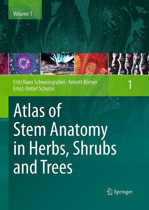 Atlas of Stem Anatomy in Herbs, Shrubs and Trees by Fritz Hans Schweingruber ISBN 9783662519547