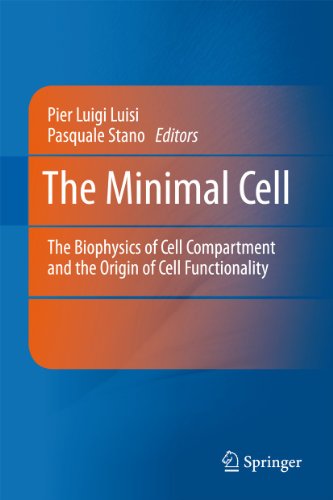 The Minimal Cell by Pier Luigi Luisi | ISBN-13 9789048199433