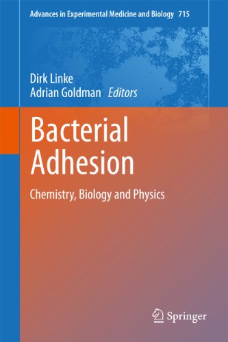Bacterial Adhesion by Dirk Linke | ISBN-13 9789400736054