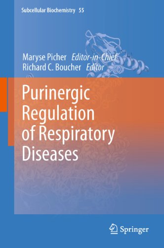 Purinergic Regulation of Respiratory Diseases by Maryse Picher | ISBN-13 9789400736061