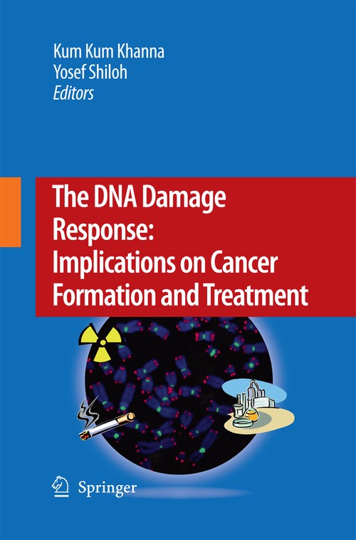 The DNA Damage Response: Implications on Cancer Formation and Treatment by Kum Kum Khanna | ISBN-13 9789400779952