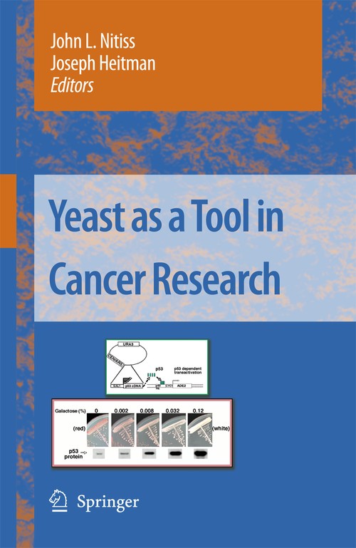 Yeast as a Tool in Cancer Research by John L Nitiss | ISBN-13 9789401785051