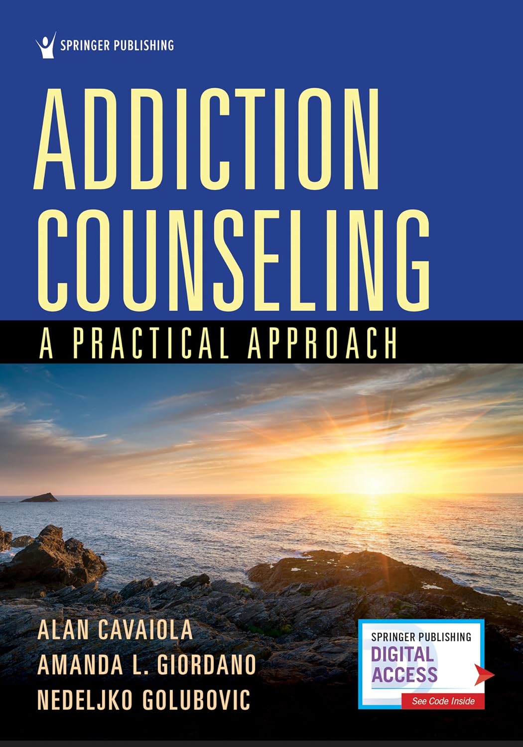 Addiction Counseling A Practical Approach 1st by Alan A. Cavaiola 978-0826135858