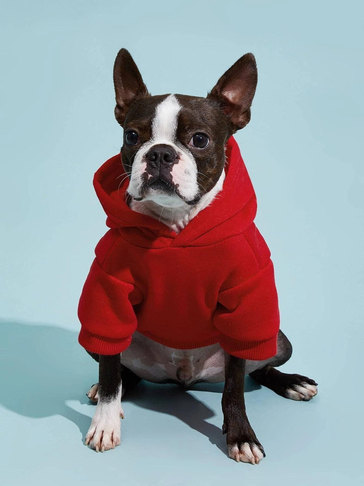 Dog Pattern, XXS-5XL, Dog Hoodie Sewing Pattern, PDF Sewing Pattern Pet, Pattern Dog, Instant Download, Pet Pattern, Sewing