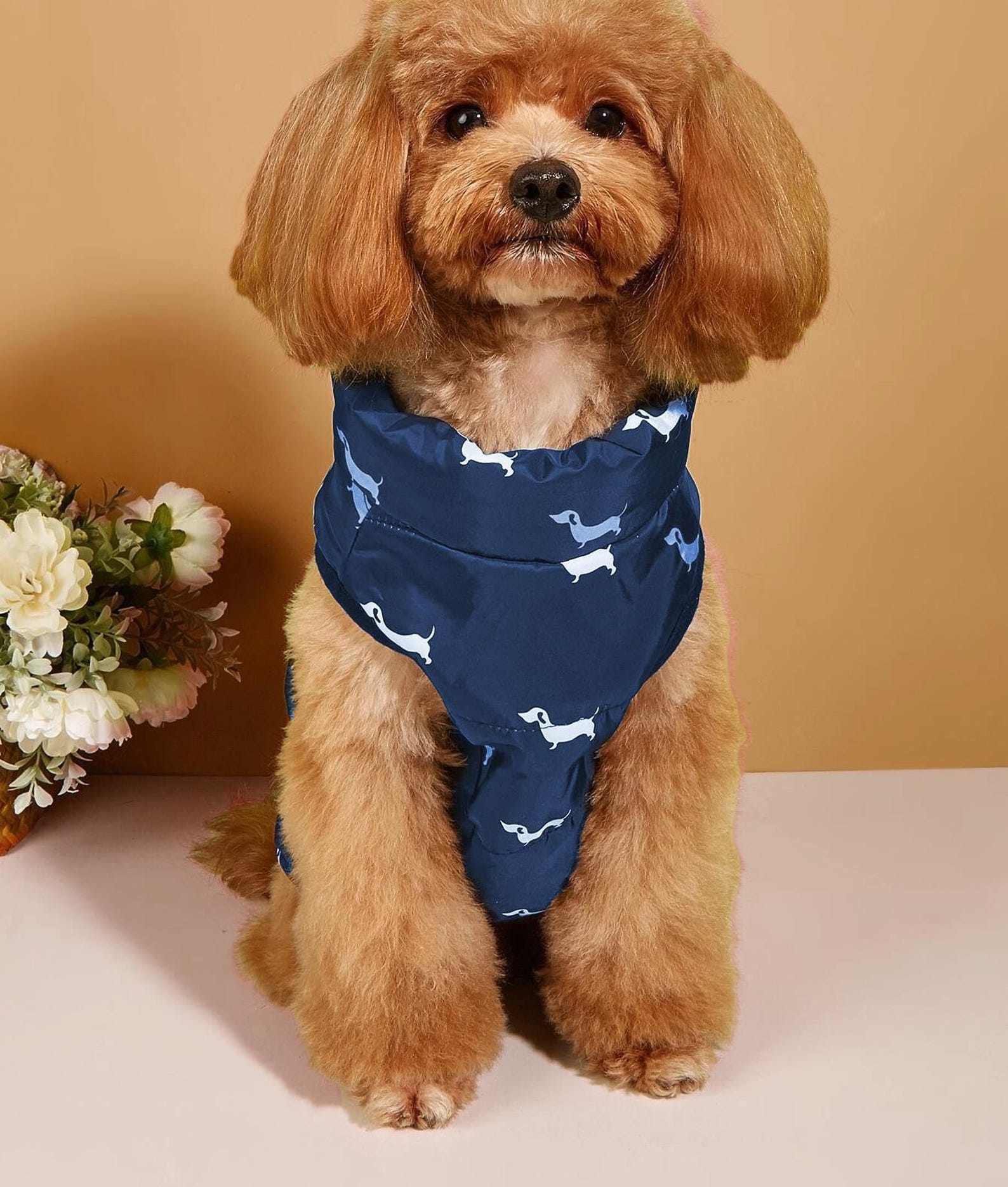 Dog Vest Sewing Pattern, Dog Pattern, Dog Sewing Pattern, Dog Coat, Pattern for dog, Dog Jacket Pattern, Dog Top Pattern, Dog