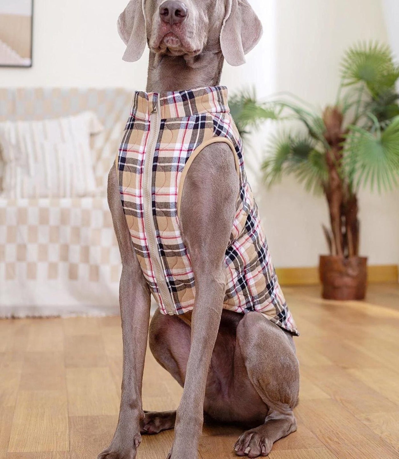Dog Coat Pattern, Dog Vest Sewing Pattern, Sewing Pattern Pet, Pattern Dog, Pet Pattern, Sewing pattern for dog coat, dog