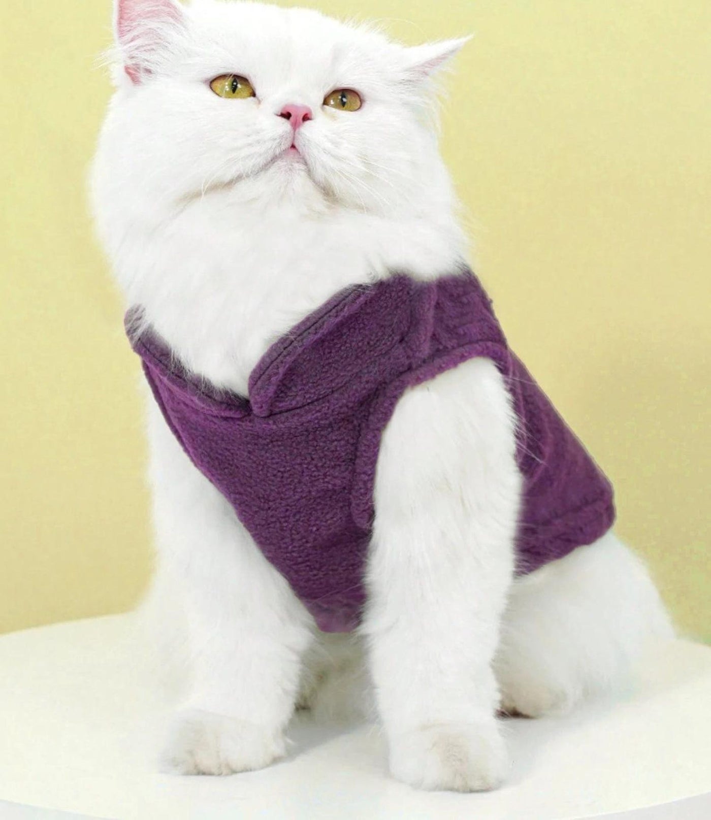 Cat Sewing Pattern, Cat Top Sewing Pattern, Sewing Pattern Pet, Pattern for Cat, Pet Pattern, Cat Jacket, Cat Clothes Pattern