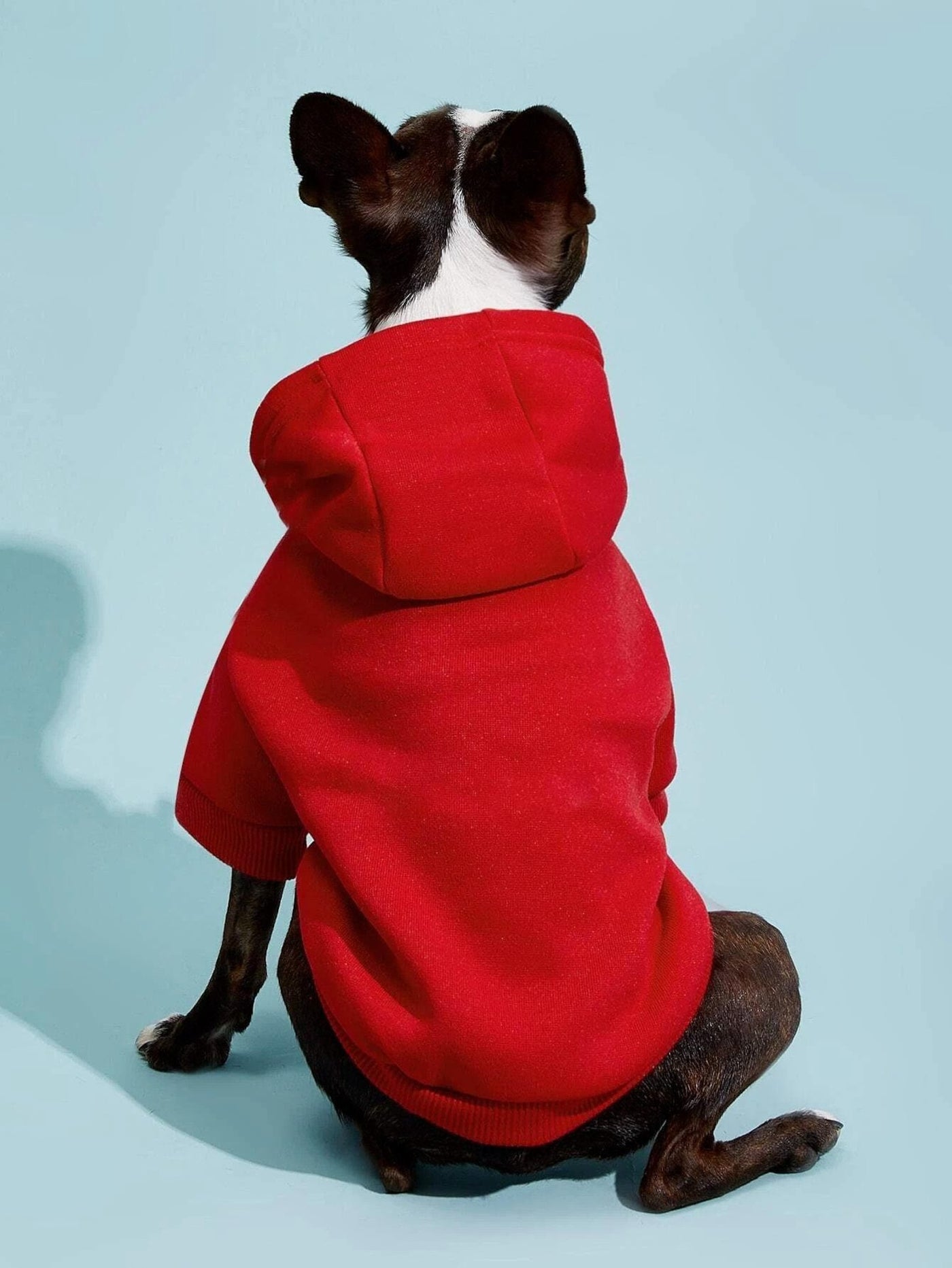 Dog Pattern, XXS-5XL, Dog Hoodie Sewing Pattern, PDF Sewing Pattern Pet, Pattern Dog, Instant Download, Pet Pattern, Sewing