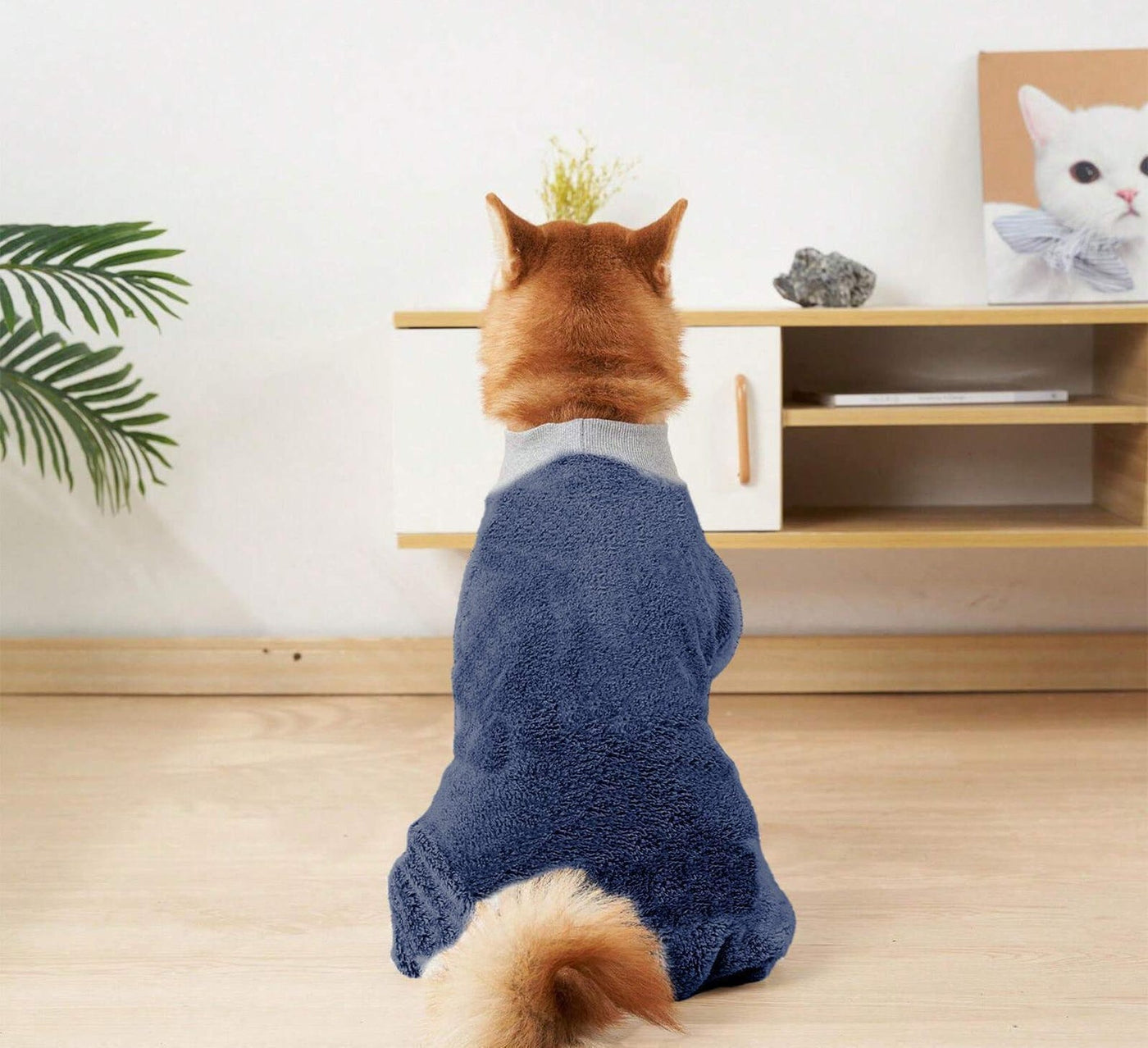 Dog Pajama Pattern, Dog Pattern, Dog Sewing Pattern, Dog Pajama, Pattern for dog, Dog Jacket Pattern, Dog Top Pattern, Dog