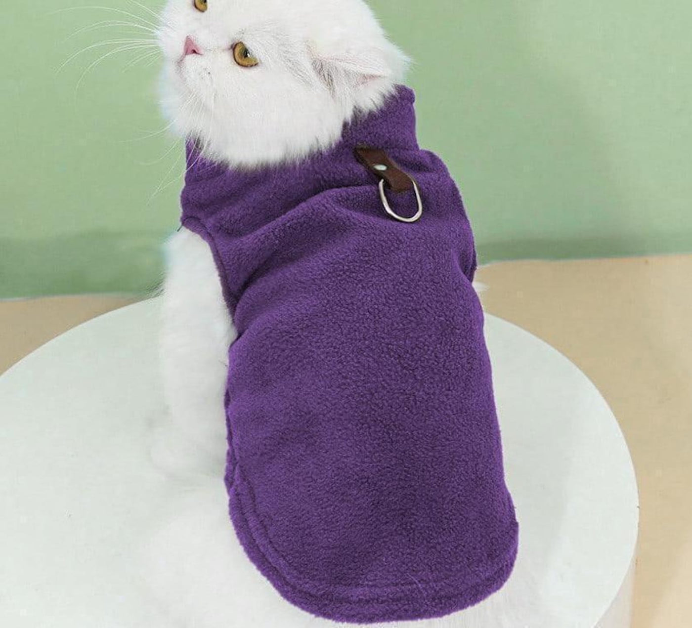 Cat Sewing Pattern, Cat Top Sewing Pattern, Sewing Pattern Pet, Pattern for Cat, Pet Pattern, Cat Jacket, Cat Clothes Pattern