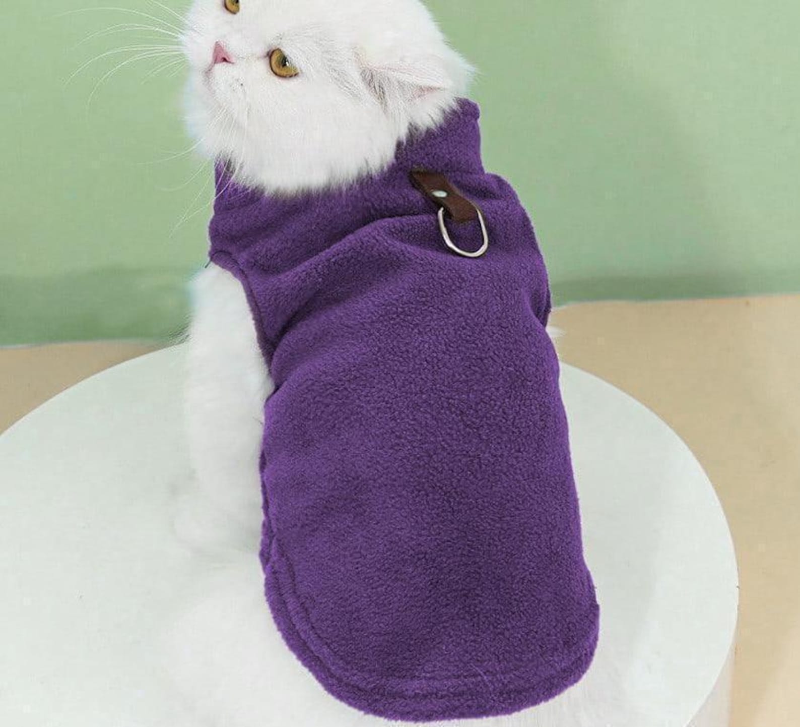 Cat Sewing Pattern, Cat Top Sewing Pattern, Sewing Pattern Pet, Pattern for Cat, Pet Pattern, Cat Jacket, Cat Clothes Pattern