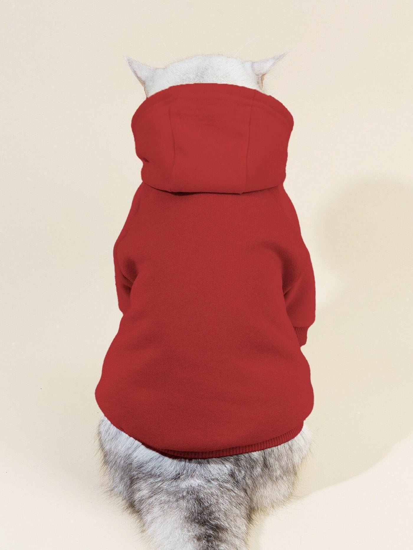 Cat Pattern, Cat Hoodie Sewing Pattern, Sewing Pattern Pet, Pattern for Cat, Pet Pattern, Sewing pattern for Cat, Cat Hoodie