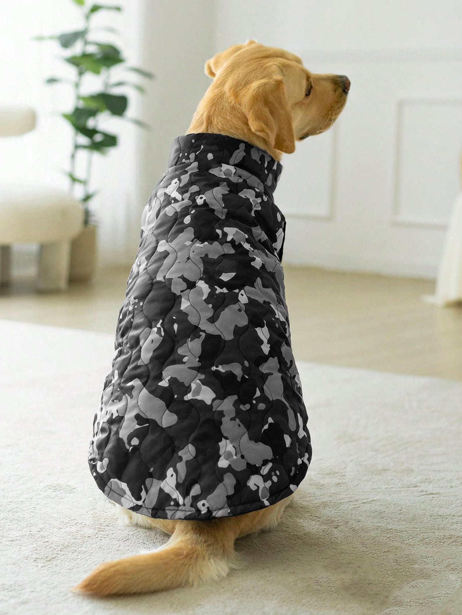 Dog Jacket Pattern, Dog Vest Sewing Pattern, Dog Coat Pattern, Sewing Pattern Dog, Pattern Dog, Pet Pattern, Dog Pattern Vest