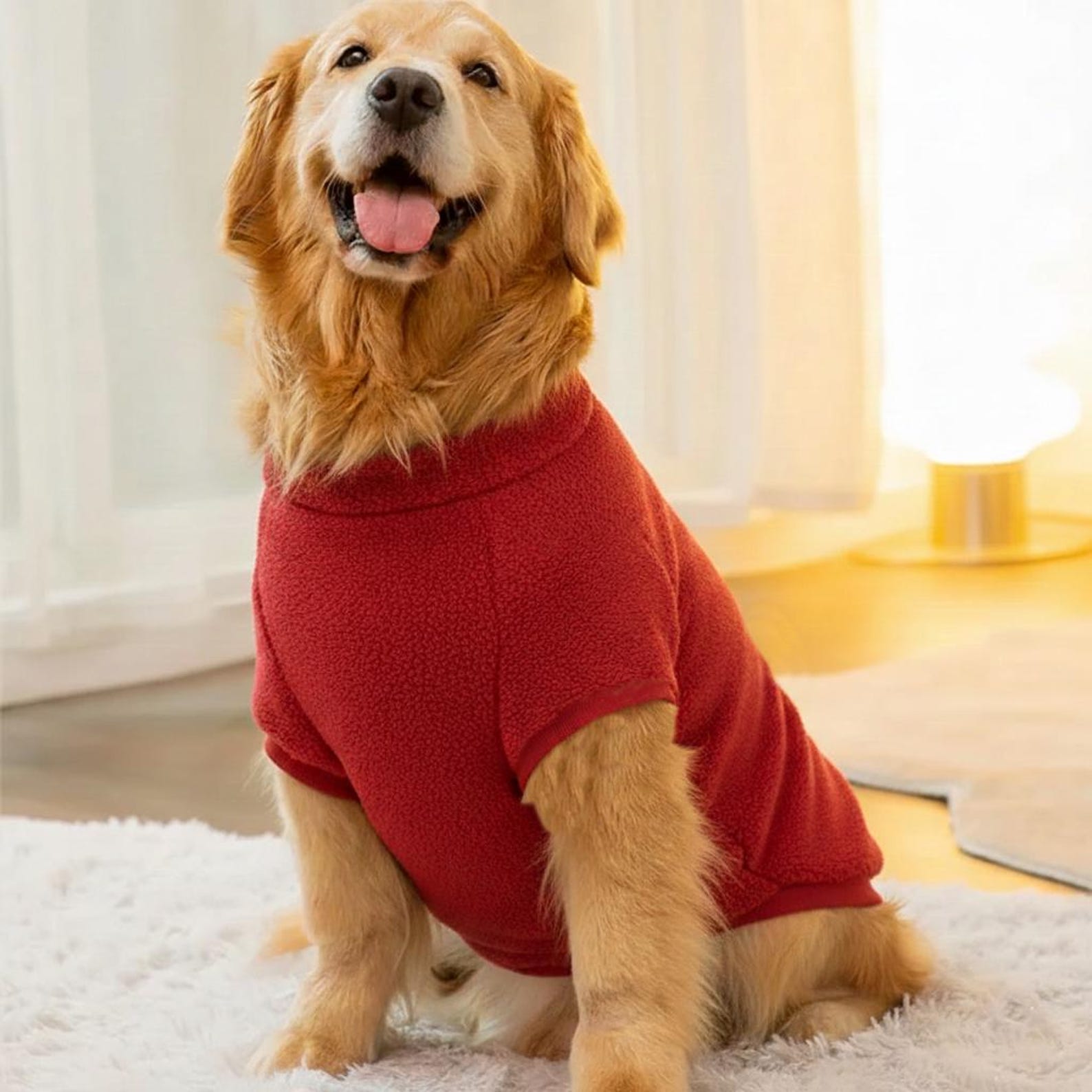 Dog Sweatshirt Sewing Pattern, Dog Pattern, Dog Sewing Pattern, Dog Vest, Pattern for dog, Dog Jacket Pattern, Dog Top
