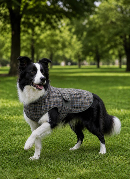 Coat Sewing Pattern for Dogs, Dog Vest Sewing Pattern, Sewing Pattern Pet, Pattern Dog, Pet Pattern, Dog Jacket Pattern
